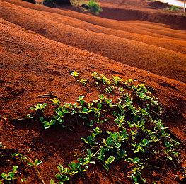 玩家声称《GTA6》女主演员已被找到 拉丁裔美女